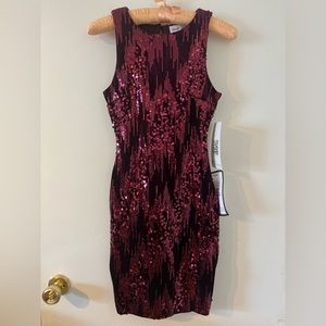 Emerald Sundae Wine Sequined Velvet Sleeveless Mini Dress